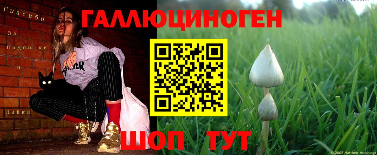 Светлоград  Галлюциногенные грибы мухоморы  Вход с VPN 